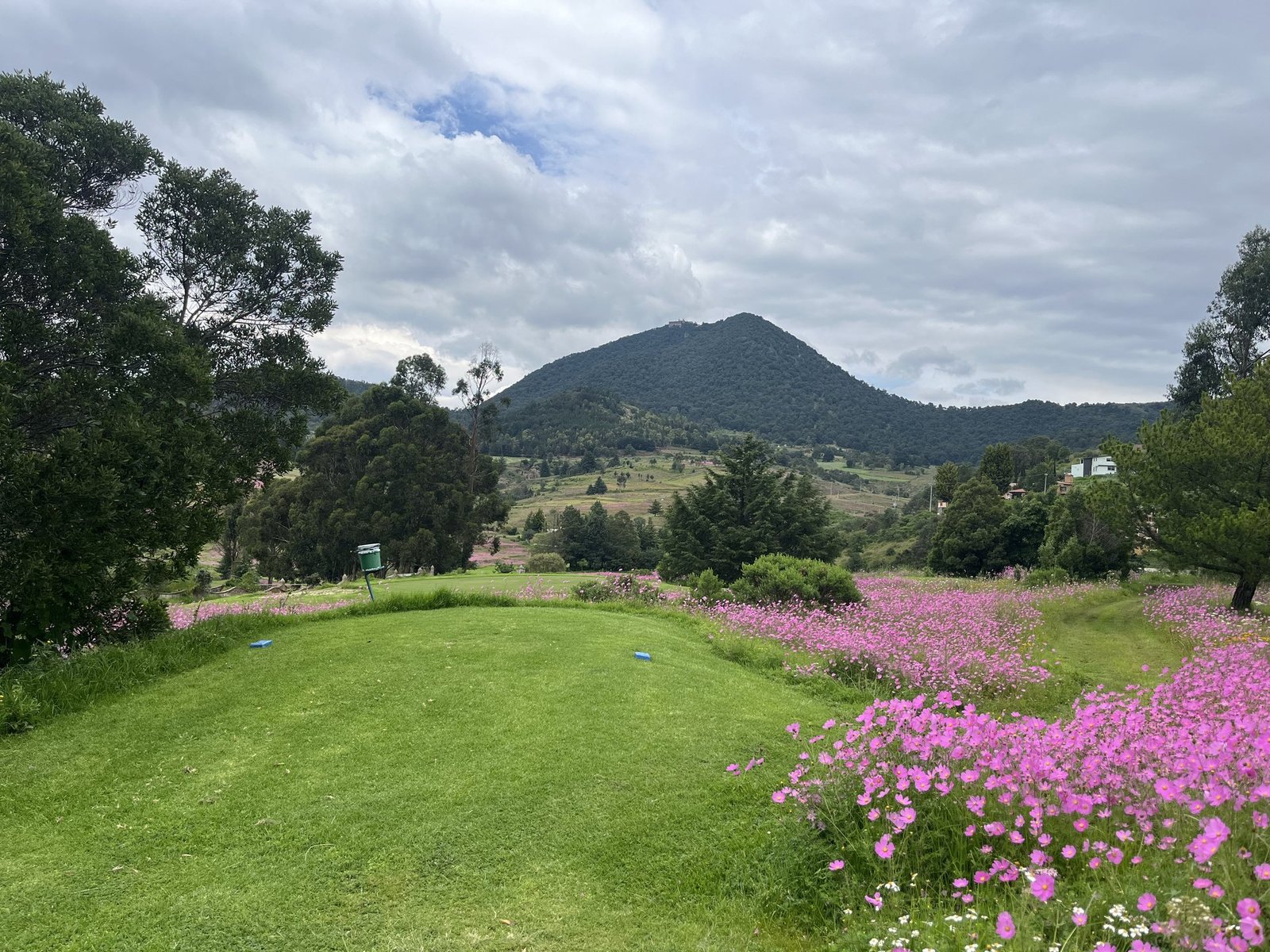 Campos de golf y clubes
