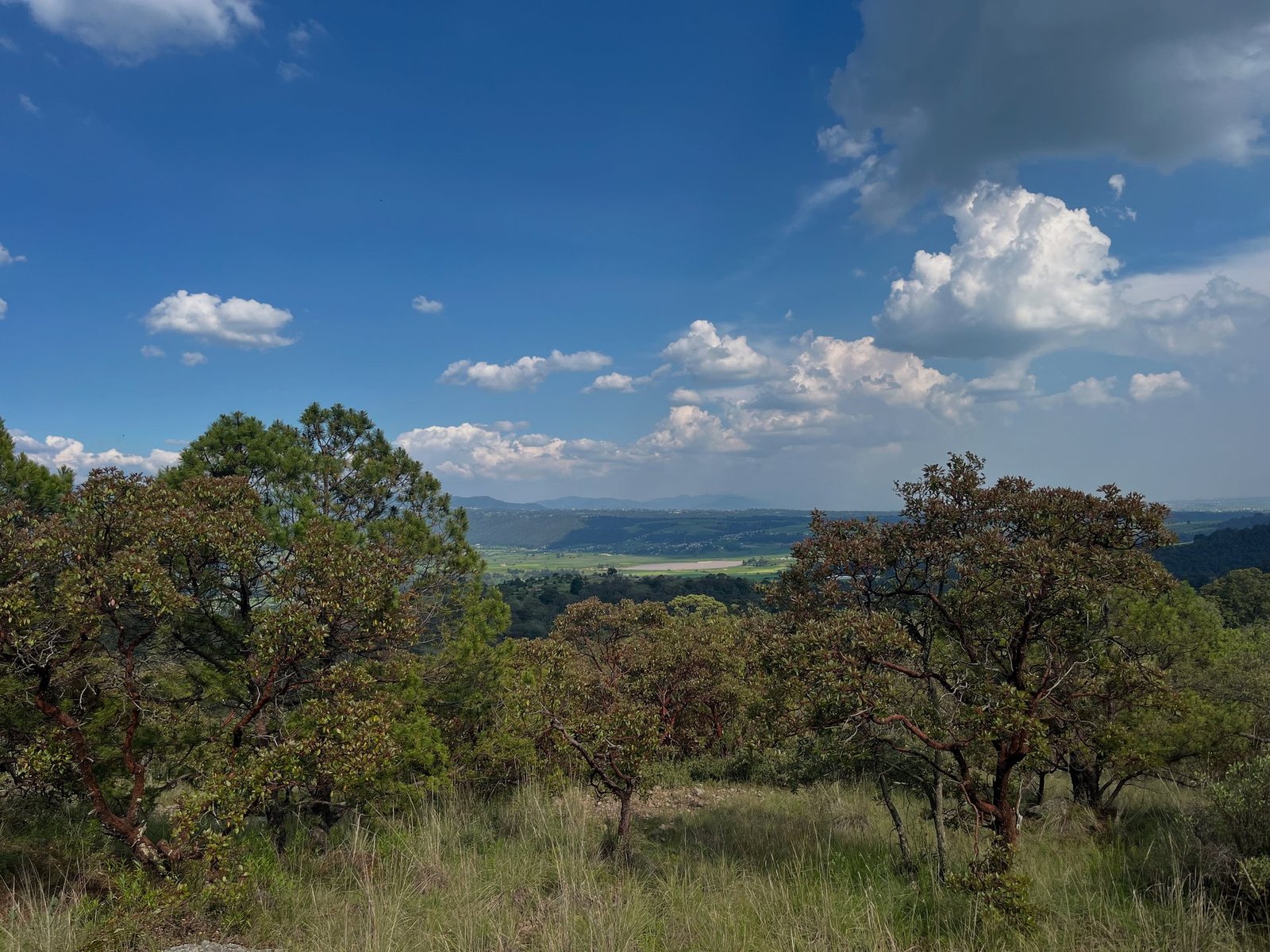 Bosque con vista al valle en Serenissima, Ixtlahuaca